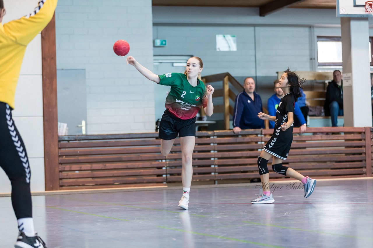 Bild 75 - wDJ HSG Kremperheide/Muensterdorf - TSV SR Schuelp : Ergebnis: 26:5